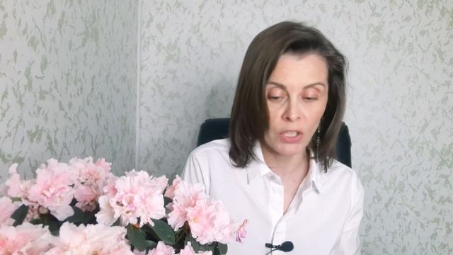 Переезд в Калининград на ПМЖ. Временная регистрация