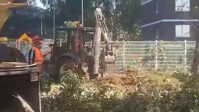 Выкорчевка пней экскаватором Дробление веток