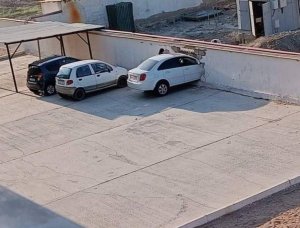 Что происходит в Узбекистане? "Команда Оливье" № 7 (август)