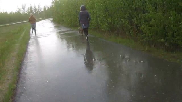 Стальной характер! Подготовка, день 1 смотреть онлайн