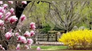 Моцарт  - Реквием по мечте (в обработке)  Мелодия для души!