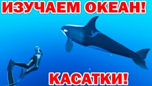 КАСАТКИ И РЫБА ЛУНА И БОЛЬШАЯ ЧЕРЕПАХА! ПОДВОДНЫЙ МИР ОКЕАНА ДЛЯ ДЕТЕЙ!  Beyond Blue! 3 СЕРИЯ