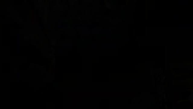 Прохождение игры Obscure #6 Мы наконец открыли эти ворота