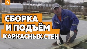 Сборка и подъем каркасных стен