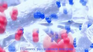 Воздухоразделительная адсорбционная установка 3D