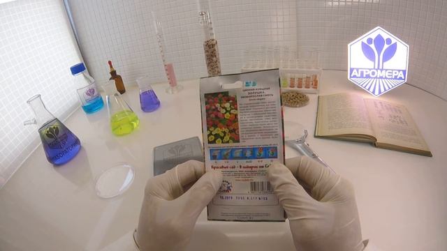 Цинния Золушка. Седек смотреть онлайн