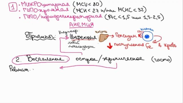 Микроцитарная гипохромная анемия: причины и лечение смотреть онлайн