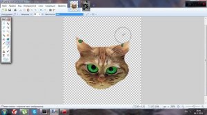 Как вырезать объект из фотографии или картинки в Paint.Net 4.0.5.//Sanya Kill