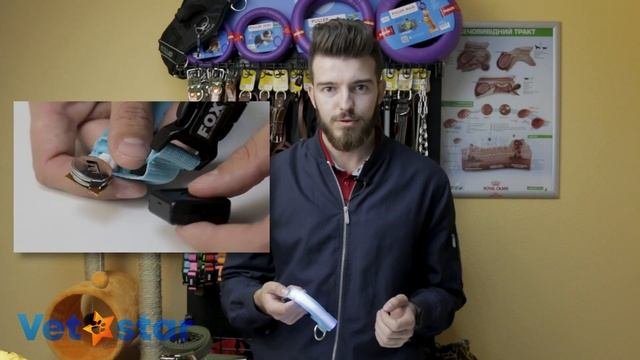 Светящийся ошейник для собаки