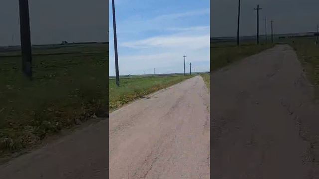 Итоги девятого дня Пути Николая Чудотворца #крестныйход #camminosannicola #николайчудотворец смотреть онлайн