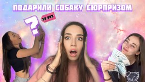 КУПИЛИ СОБАКУ / Первая встреча / РЕАКЦИЯ на СОБАКУ/ Исполнила мечту подруги ?/подарок за 50 тысяч!?
