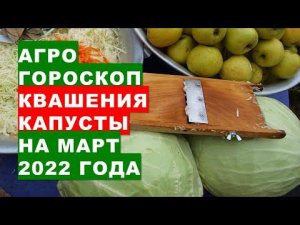 Агрогороскоп квашения капусты на март 2022 года