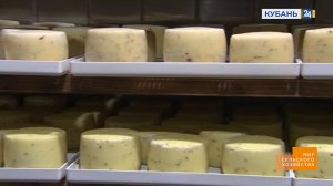 Молочная продукция | Мир сельского хозяйства 30.05.2023