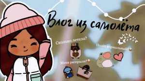Влог из самолёта ??___ тока бока ___ toca boca ___ Secret Toca.mp4