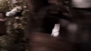 Dolce and Gabbana Dolce (женские духи Дольче Габбана Дольче, реклама)