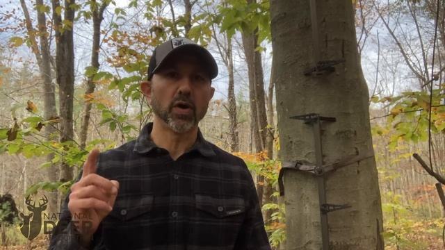 Where, When and How to Rattle in More Bucks Using Science смотреть онлайн