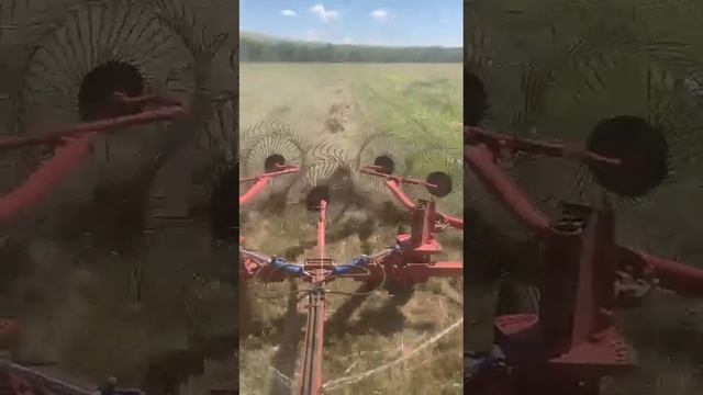 Грабли ворошилки прицепные ГВВ 6М Magnus с девятым средним колесом смотреть онлайн