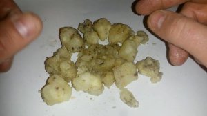 Живица сосновая, смола сосновая, купить.