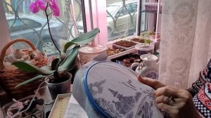 Пенсионерка развела мошенников, спасая от развода других