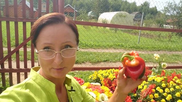 Видео привет с 6 соток. В город на Преображение. смотреть онлайн