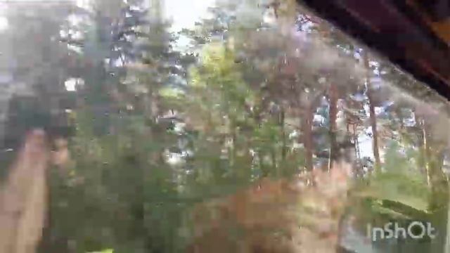 Едем в санаторий Колос/Омская область/Красноярка