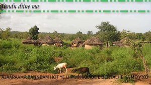 winndannde koorka pulaar 25 05 2018