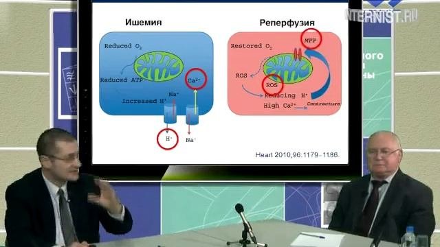 Реперфузионные повреждения у больных с инфарктом миокарда и подходы к их коррекции. ч.1