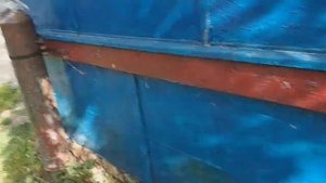 Казанский зоопарк. Достопримечательности Казани.  2019.