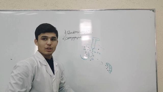 Воспаление. Патологическая анатомия.