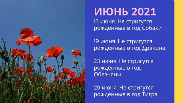 ДНИ ДЕНЕЖНЫХ СТРИЖЕК НА 2021 ГОД! ДЕНЕЖНАЯ СТРИЖКА - как, когда и зачем? смотреть онлайн