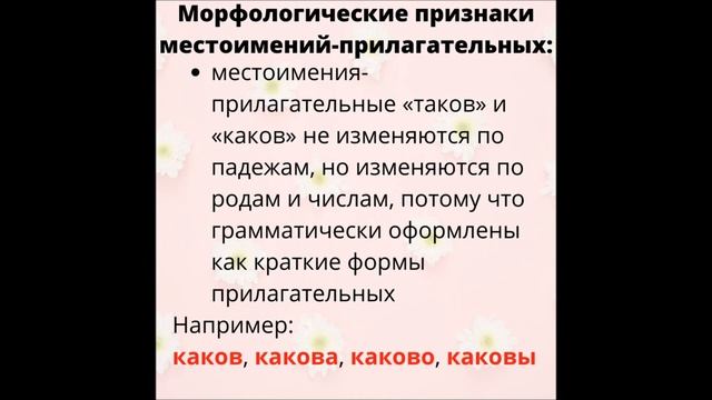 Местоимение. Местоимение в роли прилагательного. Местоимение-прилагательное
