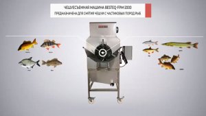 Чешуесъемная машина BESTEQ-FPM-2000.mp4