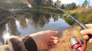 Незабываемая Рыбалка на Дикой лесной реке! Ловля Щуки на спиннинг в откябре