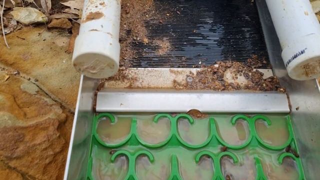 GOLD PROSPECTING AUSTRALIAN CREEK GOLD смотреть онлайн