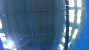 Freediving monofin - плавание в моноласте. Дворец водных видов спорта.