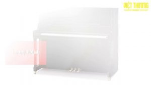 Đàn Piano Kawai K series: K200, K300, K400, K500, K600, K700, K800