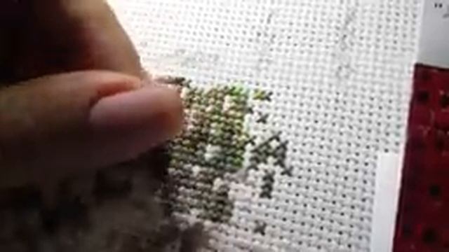 Живой процесс вышивка крестиком