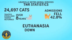 TNR Explained: Saving the Lives of Street Cats