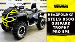 Квадроцикл Stels ATV 850G Guepard Trophy PRO EPS