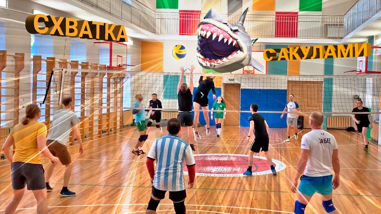 Схватка с акулами волейбола! смотреть онлайн