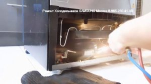 Ремонт холодильника SAMSUNG RL55 С инверторным компрессором 8-965-250-41-48 Москва