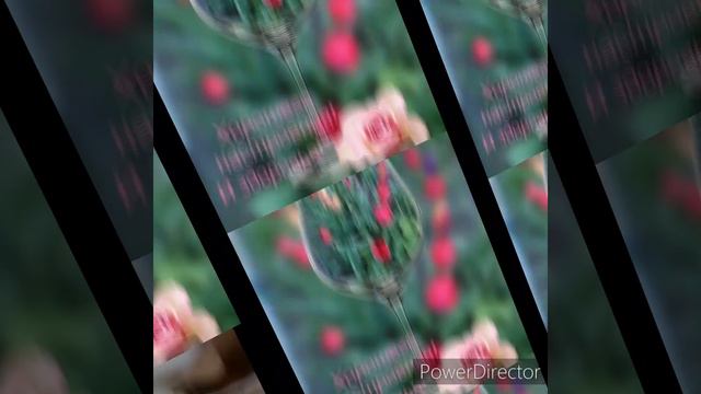 Доброго и счастливого дня!!! Для друзей,  для родных!!!