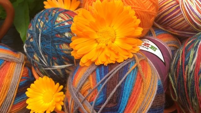 Alize  Ализе  Superwash  Что вяжу