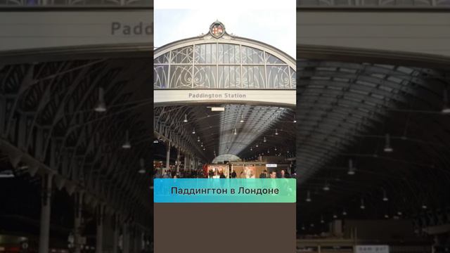 Как родился Паддингтон 🧸#паддингтон #медвежонок #рождество #подарки #писатель #история #игрушки