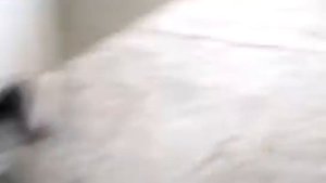ЭУР приора на ваз. Заводим и пробуем