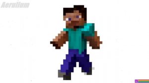 64 bits to 1 bit Minecraft Steve version