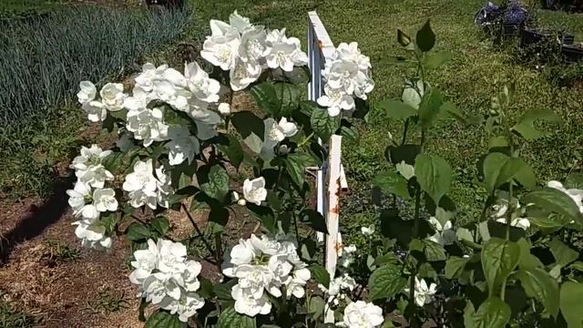 ПОЗДРАВЛЕНИЕ ЕЛЕНЕ КОПТЕВОЙ,ВСЕХ БЛАГ ДОРОГАЯ 5 июля 2018 г. смотреть онлайн