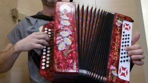 Лизавета - На гармошке