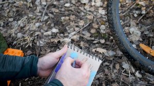 Пленер. Масляная пастель Malevich.