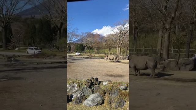 Fuji Safari Park